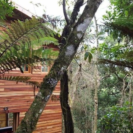 Chale Dos Tucanos- Parede De Vidro Com Linda Vista Campos do Jordão Exterior foto