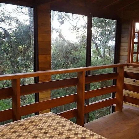 Chale Dos Tucanos- Parede De Vidro Com Linda Vista Campos do Jordão Exterior foto
