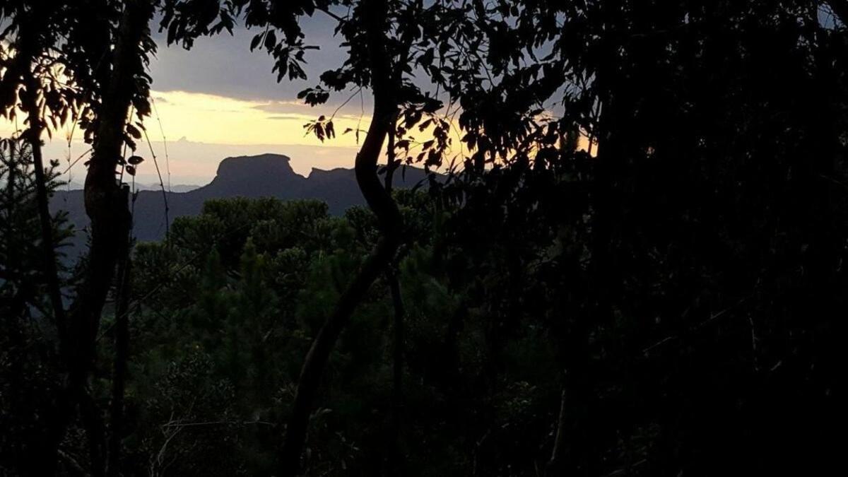Chale Dos Tucanos- Parede De Vidro Com Linda Vista Campos do Jordão Exterior foto