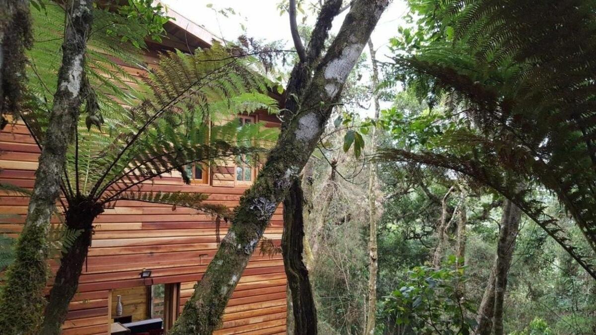 Chale Dos Tucanos- Parede De Vidro Com Linda Vista Campos do Jordão Exterior foto