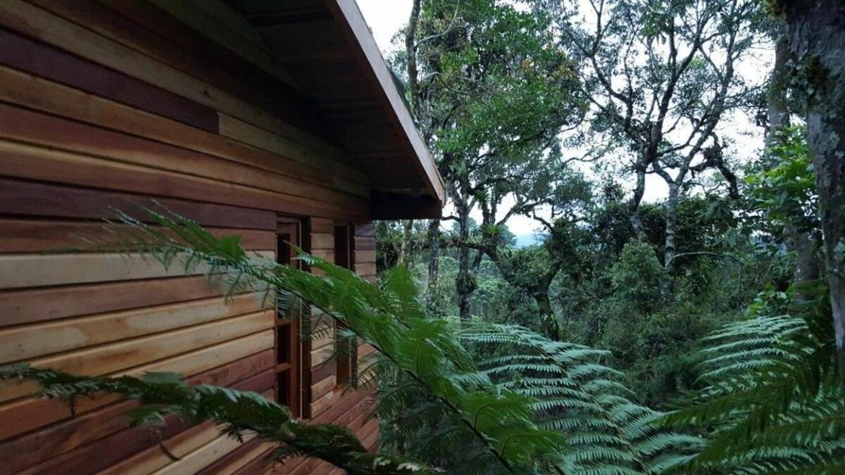 Chale Dos Tucanos- Parede De Vidro Com Linda Vista Campos do Jordão Exterior foto