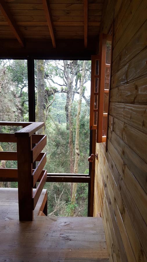 Chale Dos Tucanos- Parede De Vidro Com Linda Vista Campos do Jordão Exterior foto